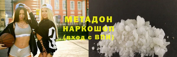 прущие грибы Белокуриха