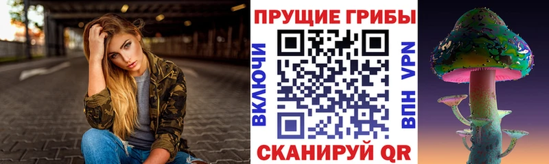 Псилоцибиновые грибы Cubensis  Тетюши 
